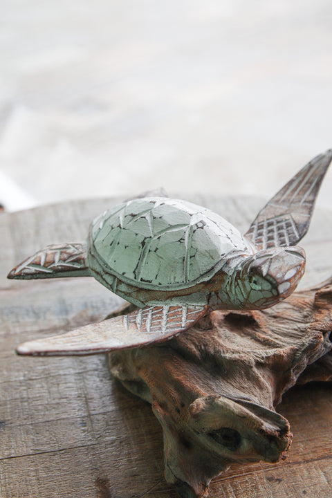 Floating wooden turtle